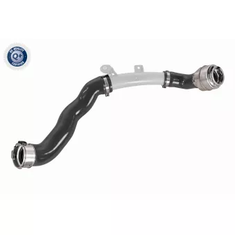 Gaine de suralimentation VAICO V46-1494
