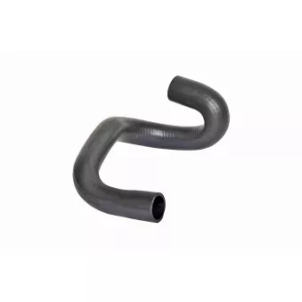 Durite de radiateur VAICO V46-1652