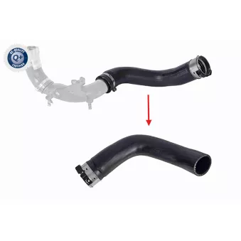 Gaine de suralimentation VAICO V46-1725
