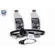 Pompe à eau + kit de courroie de distribution VAICO V46-50023 - Visuel 1