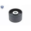 Pompe à eau + kit de courroie de distribution VAICO V46-50024-BEK - Visuel 3