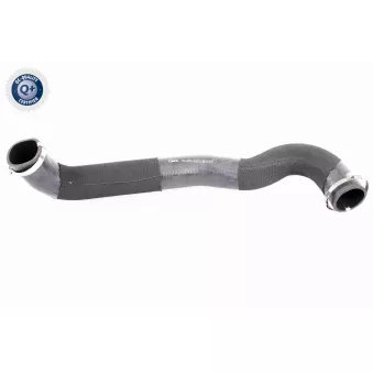 Gaine de suralimentation VAICO V48-0070