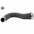 Gaine de suralimentation VAICO V48-0182 - Visuel 1