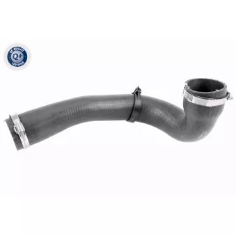 Gaine de suralimentation VAICO V48-0185