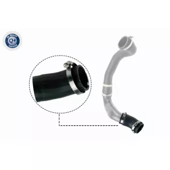 Gaine de suralimentation VAICO V48-0186