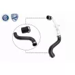 Gaine de suralimentation VAICO V48-0197 - Visuel 1