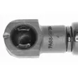 Vérin, capot-moteur VAICO V48-0220 - Visuel 3