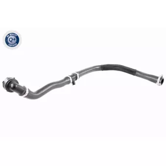Durite de radiateur VAICO V48-0453