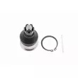 Rotule de suspension VAICO V49-9501-1 - Visuel 1