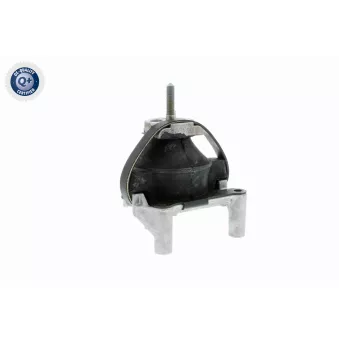 Support moteur VAICO V50-0031