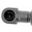 Vérin, capot-moteur VAICO V50-0038 - Visuel 3