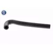 Tuyau, ventilation de carter-moteur VAICO V50-0064 - Visuel 1