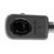 Vérin, capot-moteur VAICO V53-0008 - Visuel 3