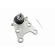 Rotule de suspension VAICO V56-0002 - Visuel 1