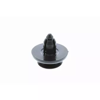 Rivet VAICO V70-0221
