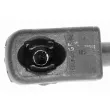 Vérin, capot-moteur VAICO V95-0195 - Visuel 3