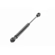 Vérin, capot-moteur VAICO V95-0202 - Visuel 1