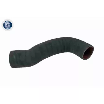 Gaine de suralimentation VAICO V95-0351
