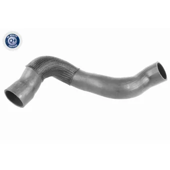 Gaine de suralimentation VAICO V95-0370