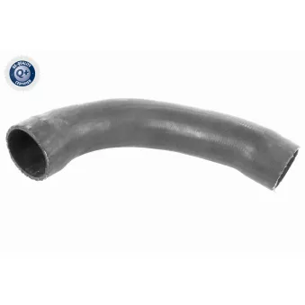 Gaine de suralimentation VAICO V95-0371