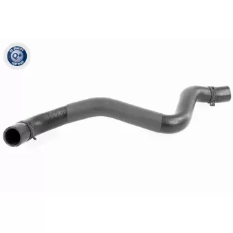 Durite de radiateur VAICO V95-0397