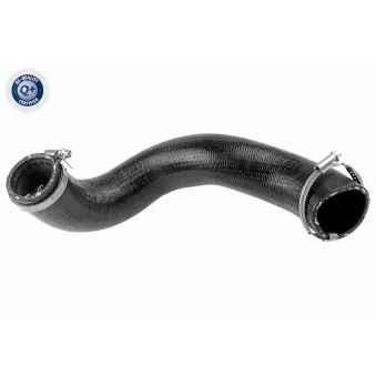 Gaine de suralimentation VAICO V95-0487