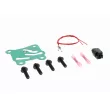 Valve de commande, réglage d'arbres à came VAICO V95-0559 - Visuel 3