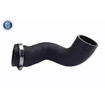 Gaine de suralimentation VAICO V95-0624