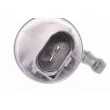 Pompe d'eau de nettoyage, nettoyage des phares VEMO V10-08-0208 - Visuel 2