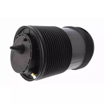 Ressort pneumatique, châssis arrière gauche VEMO V10-50-0026