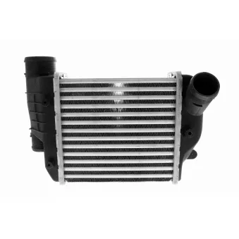 Intercooler, échangeur VEMO V10-60-0050