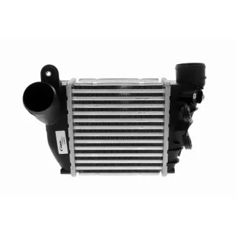 Intercooler, échangeur VEMO V10-60-0061