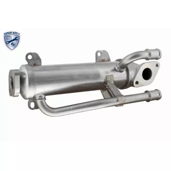Radiateur, réaspiration des gaz d'échappement VEMO V10-63-0115