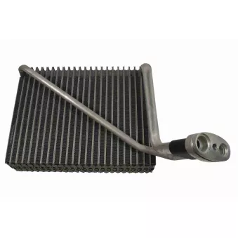 Evaporateur climatisation VEMO V10-65-0016