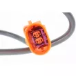 Palpeur, température des gaz VEMO V10-72-0004 - Visuel 2