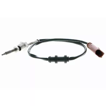 Palpeur, température des gaz VEMO V10-72-0011