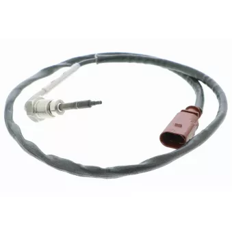 Palpeur, température des gaz VEMO V10-72-0013