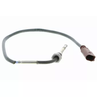 Palpeur, température des gaz VEMO V10-72-0016