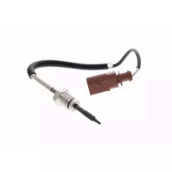 Palpeur, température des gaz VEMO V10-72-0017