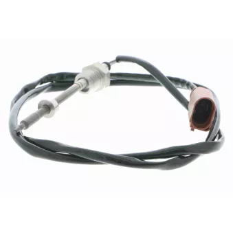 Palpeur, température des gaz VEMO V10-72-0019