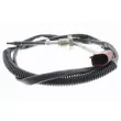 Palpeur, température des gaz VEMO V10-72-0039 - Visuel 1
