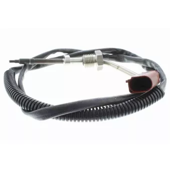 Palpeur, température des gaz VEMO V10-72-0039
