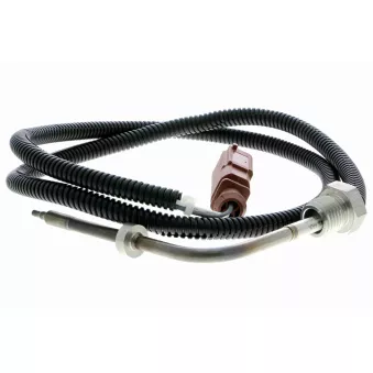 Palpeur, température des gaz VEMO V10-72-0042