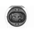 Sonde de température, liquide de refroidissement VEMO V10-72-0210 - Visuel 2