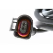 Capteur, vitesse de roue VEMO V10-72-1074 - Visuel 3