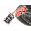Capteur, vitesse de roue VEMO V10-72-1082 - Visuel 3