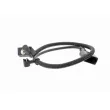 Capteur d'angle, vilebrequin VEMO V10-72-1126 - Visuel 1