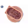 Capteur, pression de carburant VEMO V10-72-1136-1 - Visuel 2