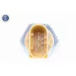 Capteur, pression de carburant VEMO V10-72-1291 - Visuel 2