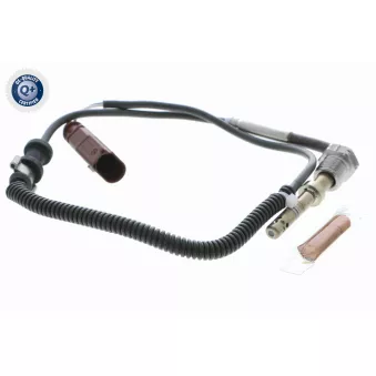Palpeur, température des gaz VEMO V10-72-1389